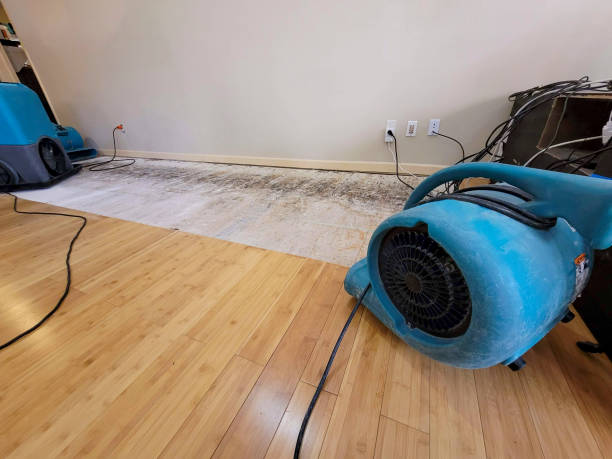 Professional Basement Flood Cleanup technician working in Mazon, IL